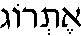 Etrog (in Hebrew)