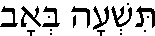 Tisha B'Av (in Hebrew)